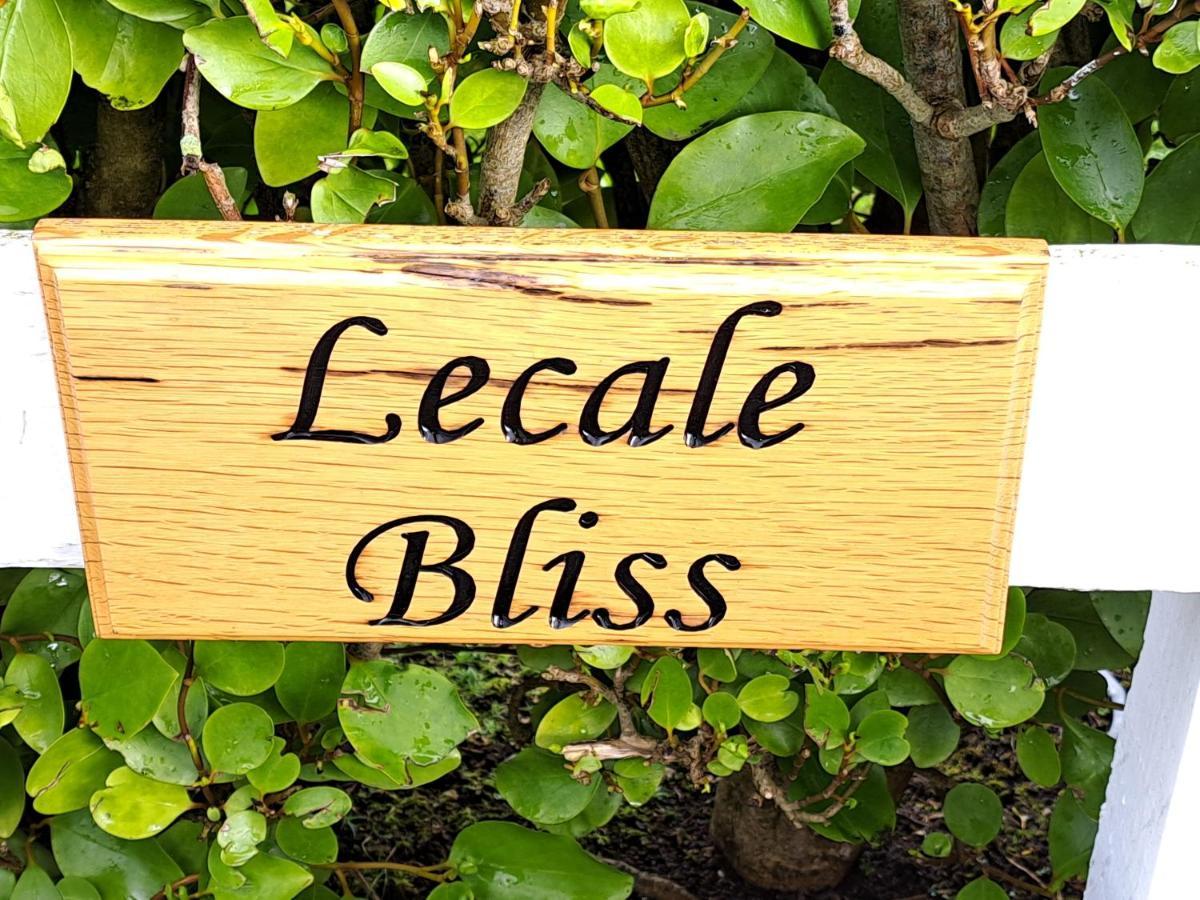 Bed and Breakfast Lecale Bliss à Downpatrick Extérieur photo